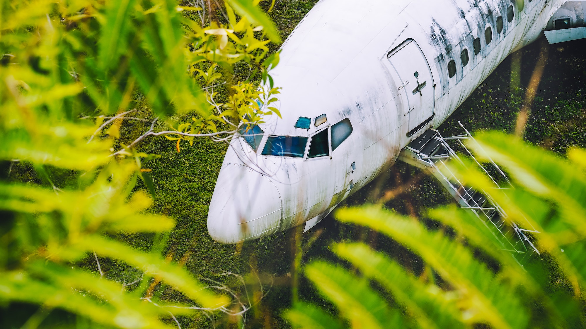Abandoned aircraft between leaves, Bali, Indonesia