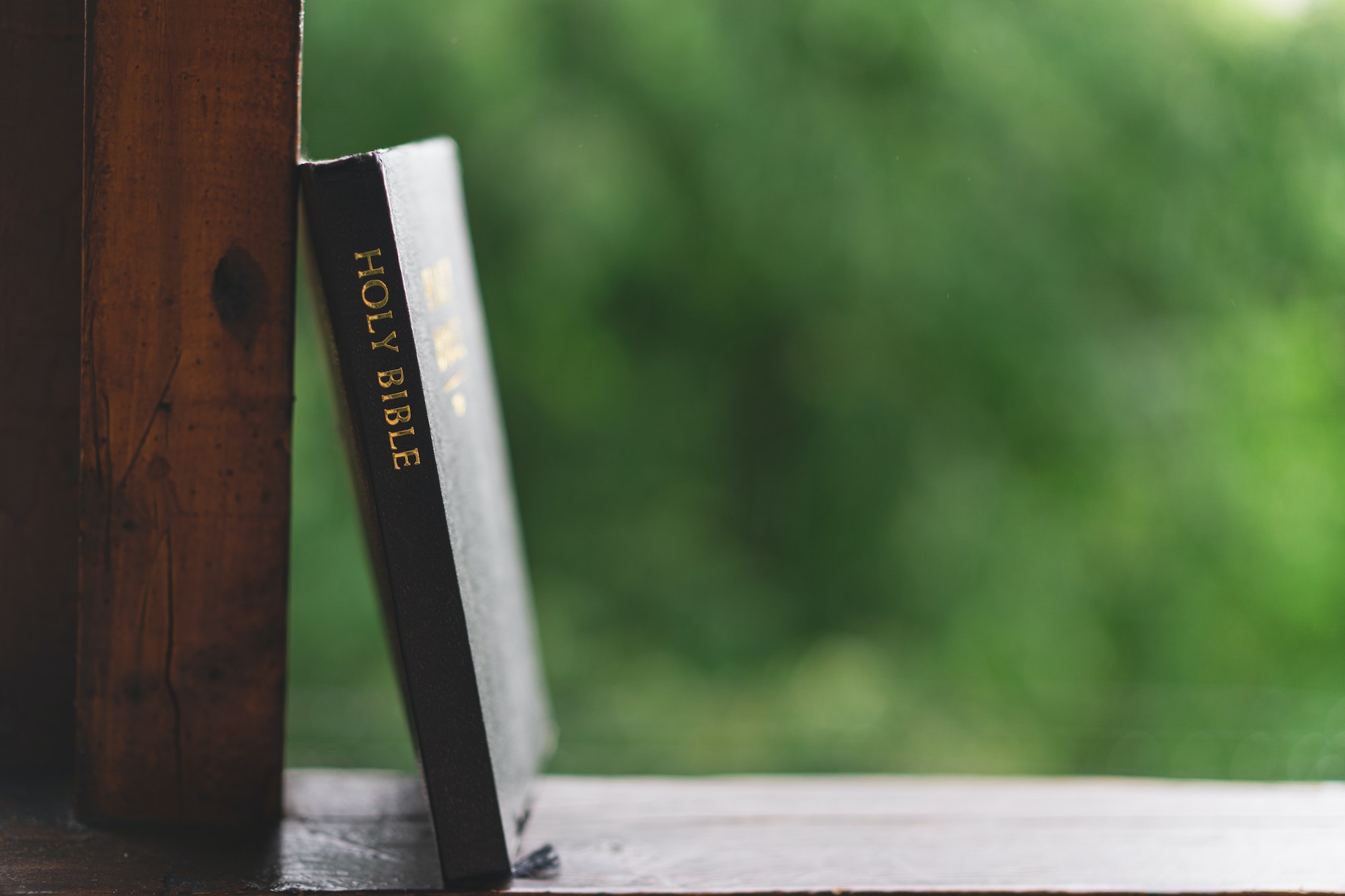 The Holy Bible. Reading the bible. Concept for faith